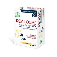 PSYLLOGEL MEGAFERMENTI 6 VANIGLIA 20 BUSTINE