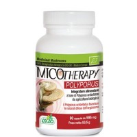 AVD REFORM MICOTHERAPY POLYPORUS 90 CAPSULE