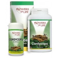 CORDYCEPS 100CPS ATENA