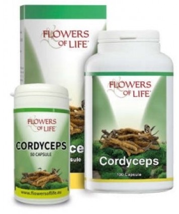 CORDYCEPS 100CPS ATENA