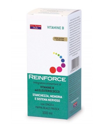 VITAL FACTORS REINFORCE VITAMINE B 100ML 