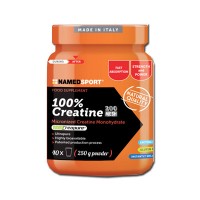 NAMED CREATINA 100% POLVERE 500G