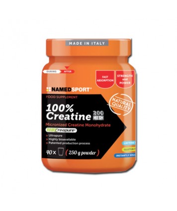 NAMED CREATINA 100% POLVERE 500G