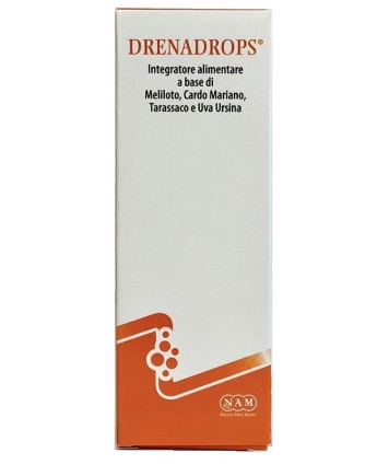 DRENADROPS SOLUZ IDROALC 100ML