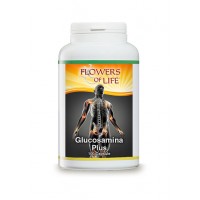 GLUCOSAMINA PLUS N/F 100CPS FL