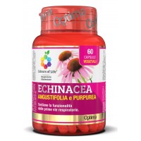 ECHINACEA ANGUST/PURPUR 60CPS (N