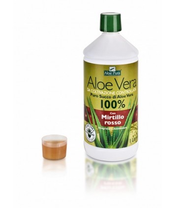 ALOE VERA SUCCO MIRTILLO 1L