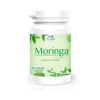 ALGEM MORINGA OLEIFERA 60 CAPSULE 