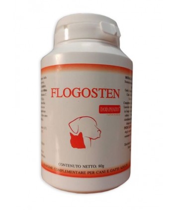 FLOGOSTEN 80G