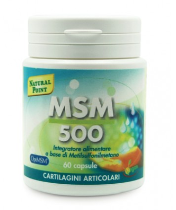 NATURAL POINT MSM 60 CAPSULE VEGETALI DA 500MG (PRODOTTO VEGANO)