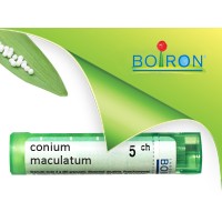 CONIUM MACULATU 5CH GR BO