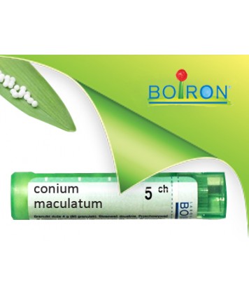 CONIUM MACULATU 5CH GR BO