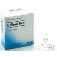 GUNA GALIUM 10 FIALE DA 1,1ML HEEL