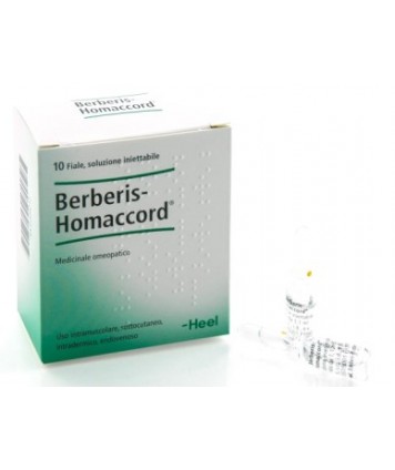 BERBERIS HMC 10FL  HEEL