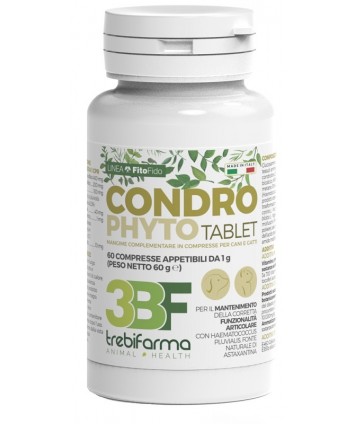 CONDROPHYTO 60CPR 1G