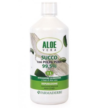 ALOE VERA SUCCO POLPA 1000ML