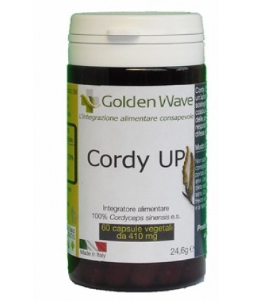 CORDY UP 60CPS