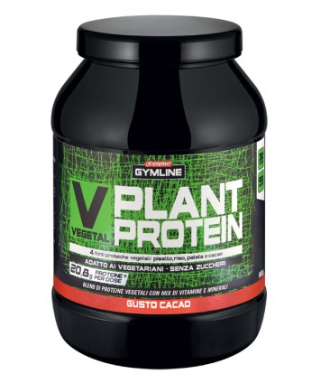 GYMLINE MUSCLE VEG PROT PANNA