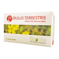 TRIBULUS TERRESTRIS 60CPR