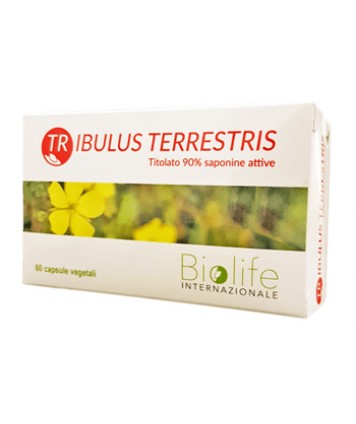 TRIBULUS TERRESTRIS 60CPR