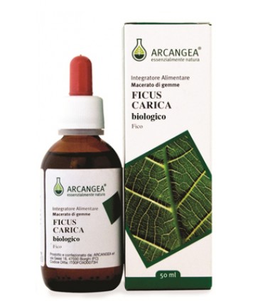 FICUS CARICA BIO GEMMOD 50ML