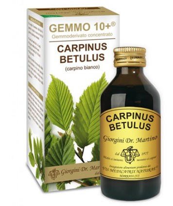 CARPINO BI 100ML ANALCO GEM10+