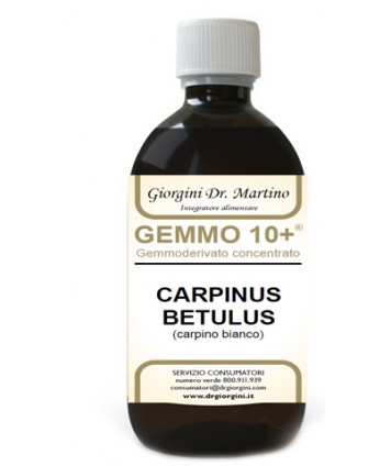 CARPINO BI 500ML ANALCO GEM10+