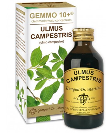 OLMO CAMP 100ML ANALCO GEM 10+