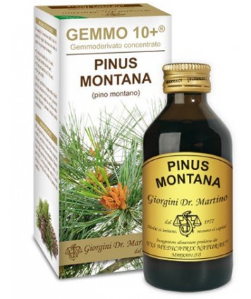 DR.GIORGINI PINO MONTANO LIQUIDO ANALCOLICO GEMMO 10+ 100ML