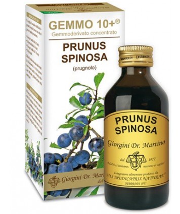 PRUGNOLO GEMMO 10+ S/ALC 100ML (