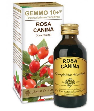 DR.GIORGINI ROSA CANINA LIQUIDO ANALCOLICO GEMMO 10+ 100ML