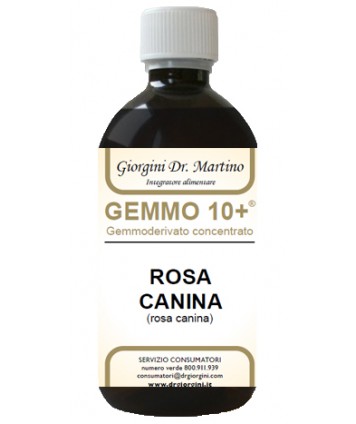 ROSA CANINA LIQ ANAL GEMMO 10+