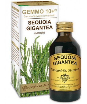 SEQUOIA 100ML ANALCO GEMMO 10+