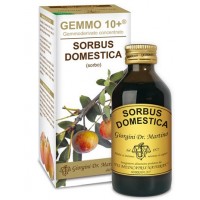 SORBO 100ML ANALCO GEMMO 10+