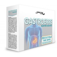 GASTROERRE 25BUST DA 15ML