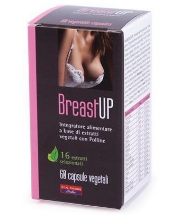 BREAST UP 60CPS