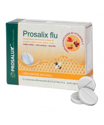 PROSALIX FLU 12CPR EFFERV