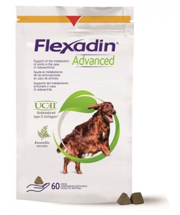 FLEXADIN ADVANCED 60TAV MASTIC