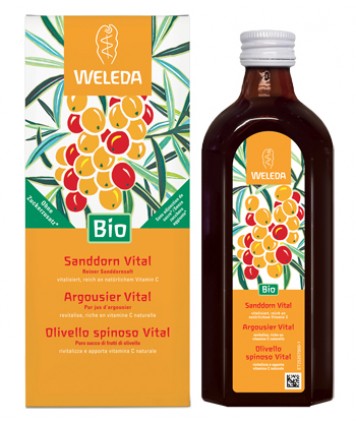 OLIVELLO SPINOSO VITAL SUCCO WE