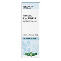 ARTIGLIO DIAV SOL IAL 50ML EBV