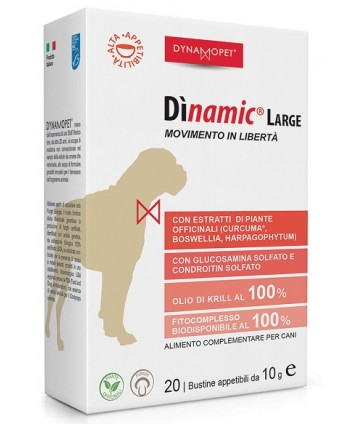 DINAMIC LARGE 20BUST 10G