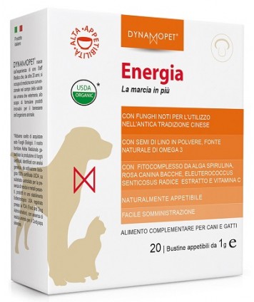 ENERGIA 20BUST 1G