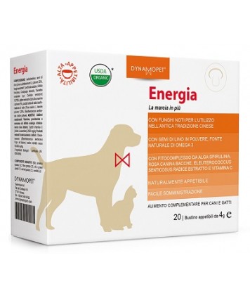 ENERGIA 20BUST 4G