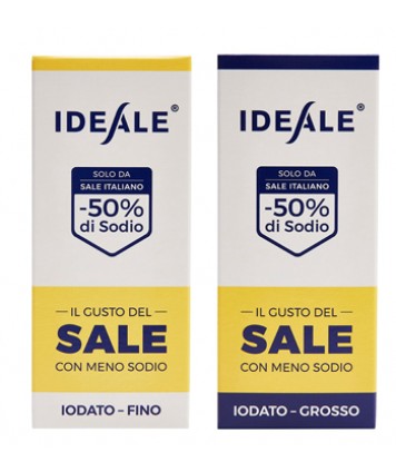 IDEALE CONDIMENTO SALE GR300G