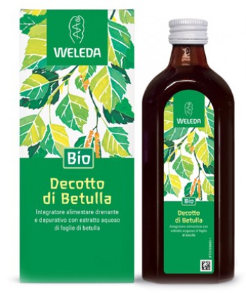 BETULLA DECOTTO 250ML WE