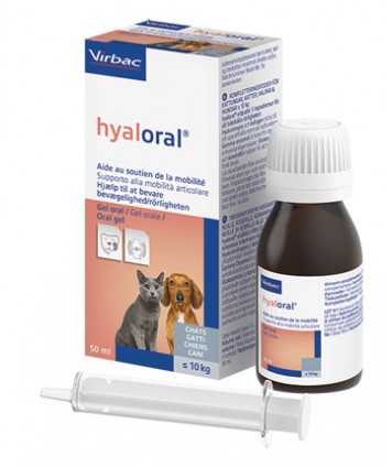 HYALORAL GEL ORALE 50ML