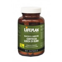 CORTECCIA OLMO 50CP LIFEPLAN