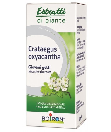 CRATAEGUS OXY MG 60ML INT