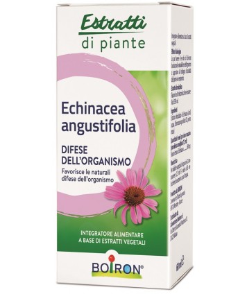 ECHINACEA ANG EI 60ML IN