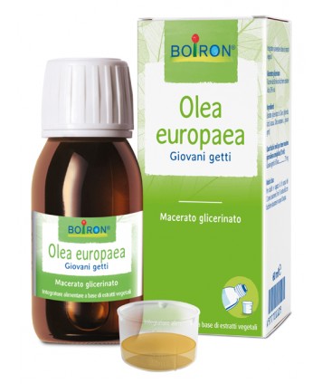 BO.OLEA EUROPAEA MG 60ML INT